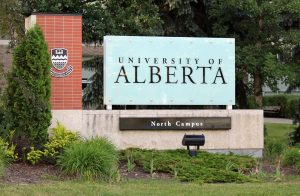 Centred in the image is a sign for the University of Alberta. The base of the sign is a low white wall. On top of the wall to the far left is a red brick column that features the university’s crest. Beside it is a wide glass plaque that reads the University of Alberta. Below it on the white stone base is a black plaque that reads North Campus. A black spotlight and some decorative shrubs lay in front of the sign.